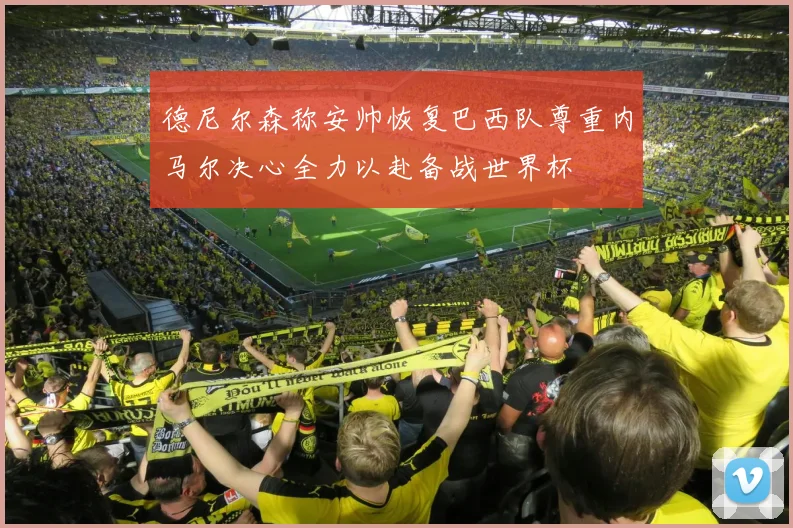 德尼尔森称安帅恢复巴西队尊重内马尔决心全力以赴备战世界杯