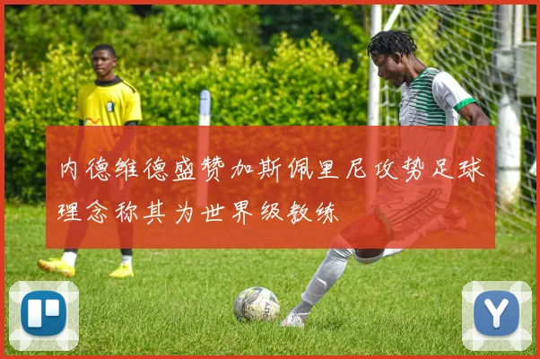 内德维德盛赞加斯佩里尼攻势足球理念称其为世界级教练