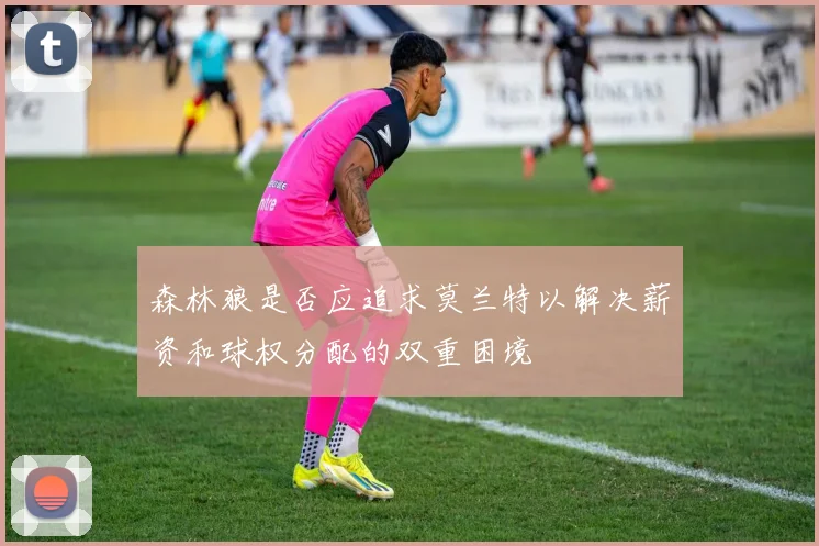森林狼是否应追求莫兰特以解决薪资和球权分配的双重困境