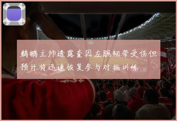 鹈鹕主帅透露奎因左腕韧带受伤但预计将迅速恢复参与对抗训练